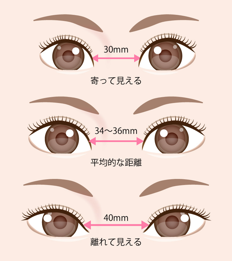 一般的な目と目の幅
